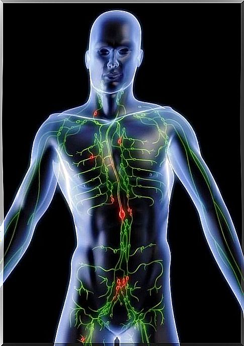 Cleansing the lymphatic system - 5 infusions