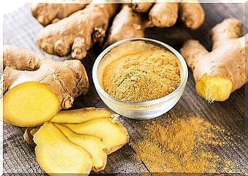 Ginger - root