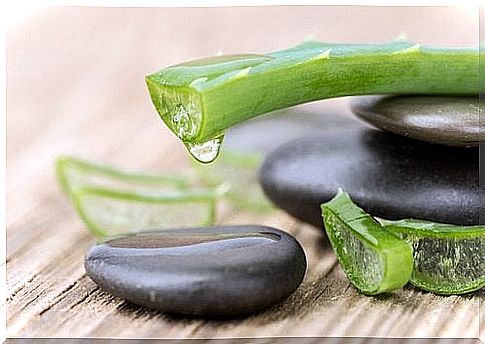 Aloe for cleansing the liver