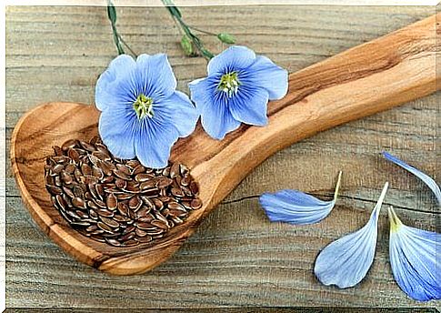 Flax seeds and flowers