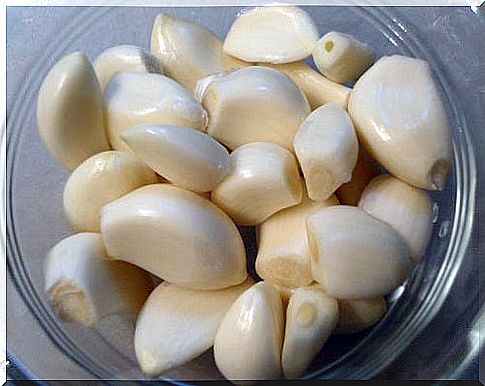 Garlic