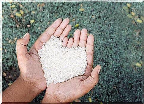 Rice held in hands