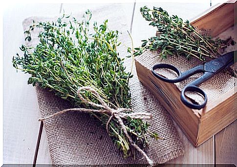 Dried herbs