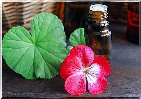 Geranium oil