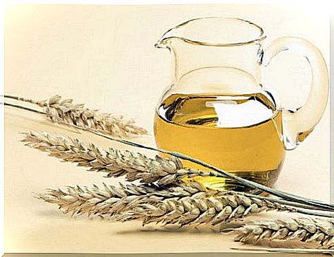 Wheat oil