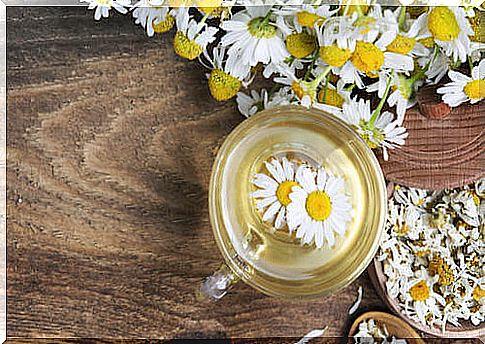 Chamomile infusion