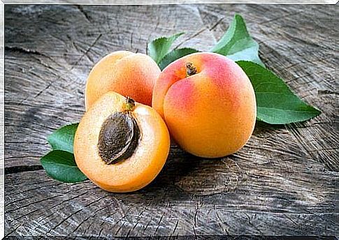 Apricots - discover their amazing benefits