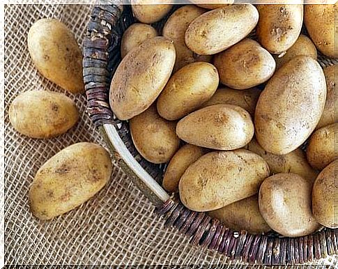 Eating potatoes - benefits and risks