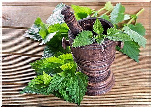 Nettle leaves in a mortar