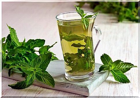 Mint infusion