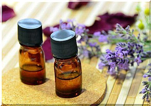 lavender oil