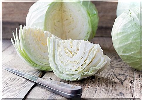 Cabbage helps get rid of back pain