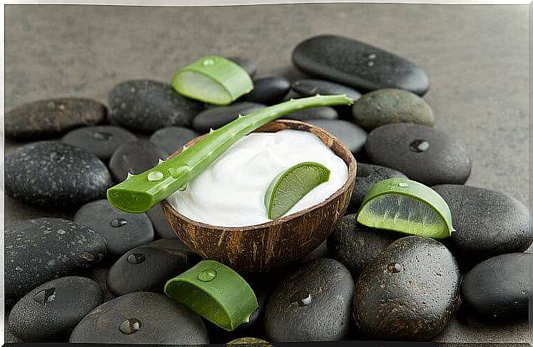 Natural aloe vera cream