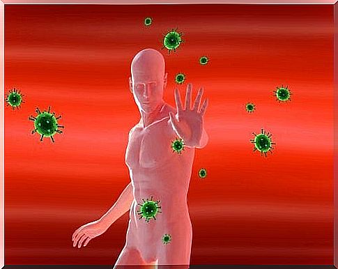 The body's immune system.