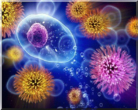 The immune system and antioxidants