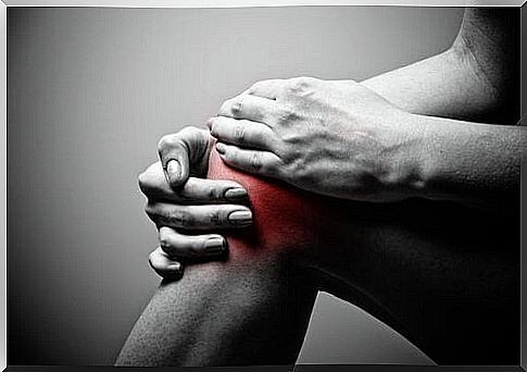 Where does knee pain come from?