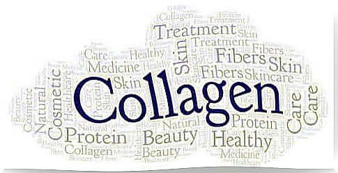 Find out about the sources of collagen and its importance for the body