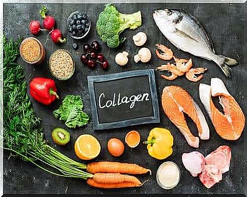 Collagen sources