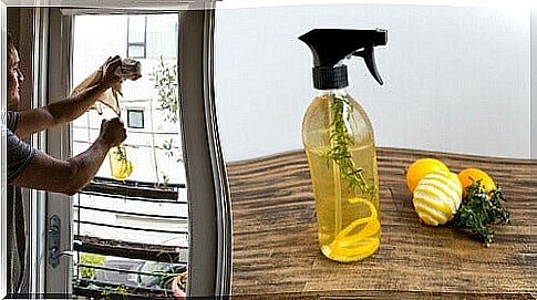 Air freshener with lemon peel