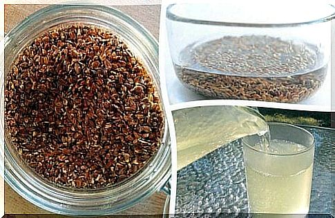 Linseed and its properties