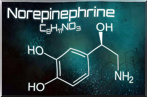 Norepinephrine - what is it and what is it for?