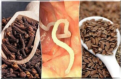 Parasites - eliminate them by reaching for cloves and flaxseeds