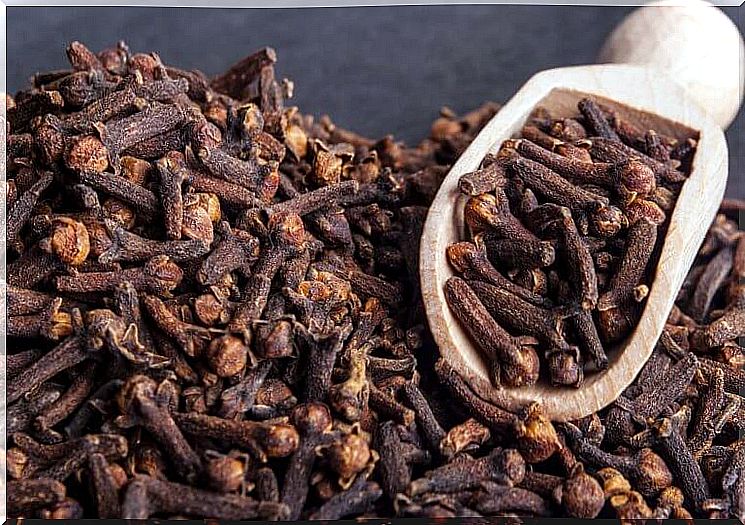 Dried cloves