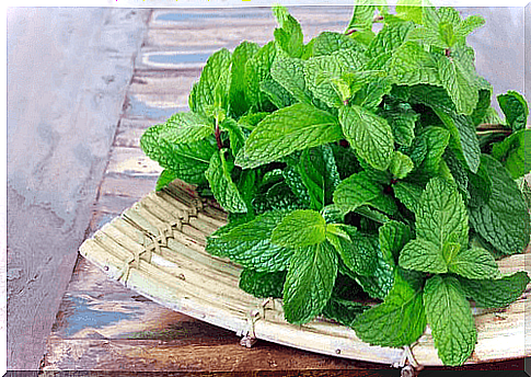 Peppermint - natural remedies