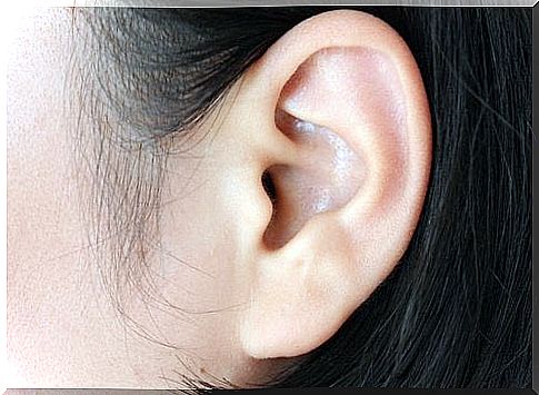 Ear