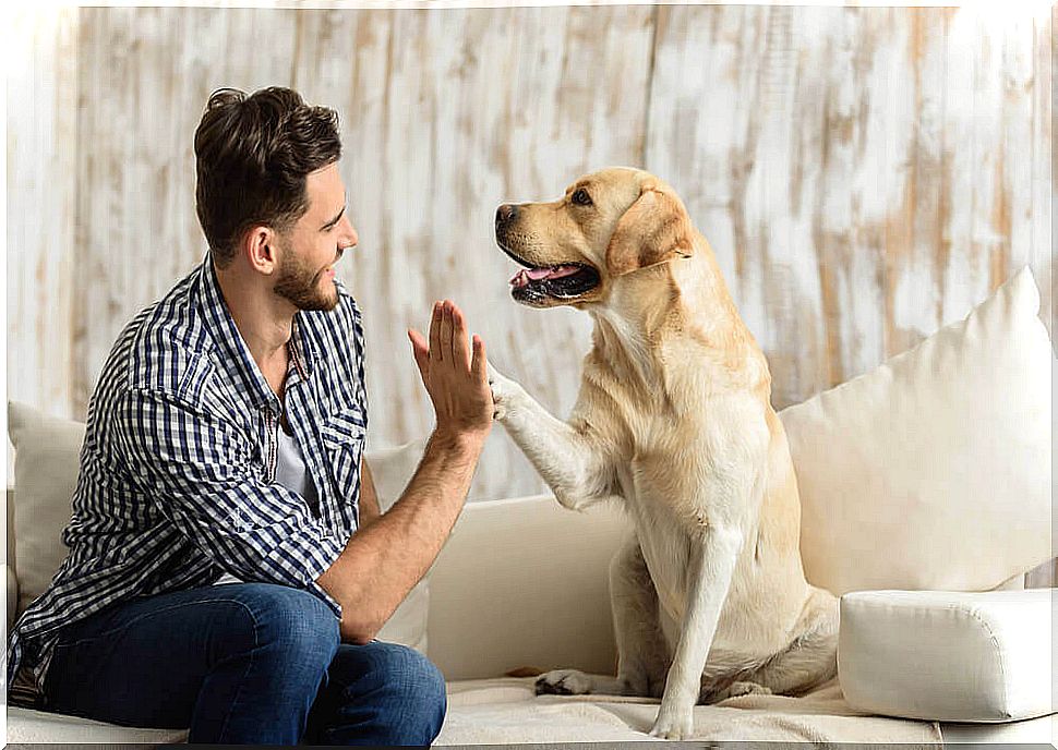 man with his dog on the couch