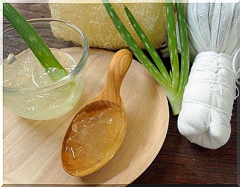 Aloe and gel from its leaves