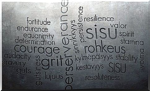 sisu - courage in the face of difficulties