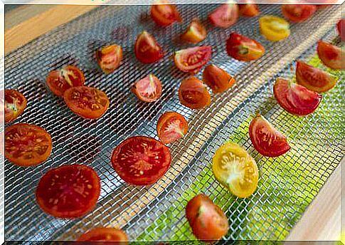 Ready dehydrator - drying tomatoes