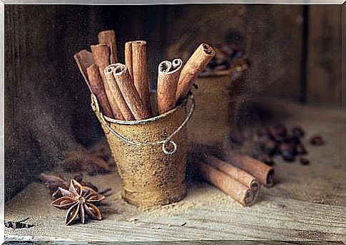 Cinnamon sticks and cloves