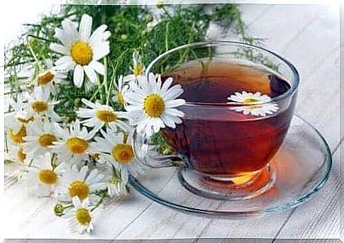 chamomile and tea