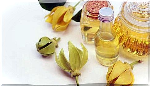 Ylang Ylang Oil