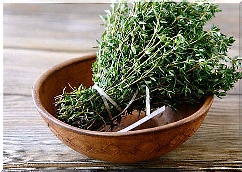 Properties of thyme - benefits for our health