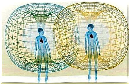 The immune system and the thymus