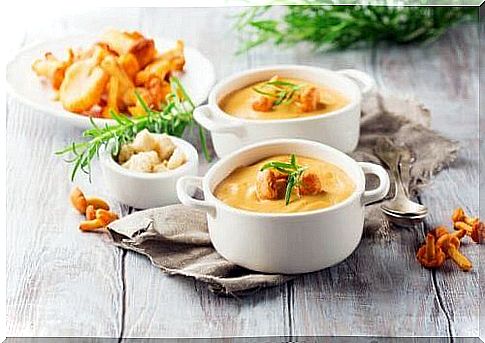 vegetable cream soup - vegetable cream soup