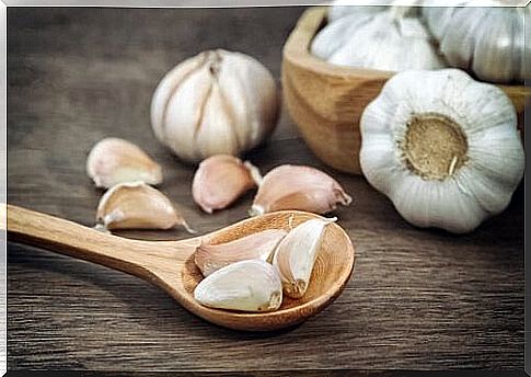 Garlic